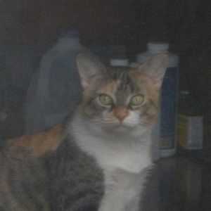 Meet your Posher, Jill